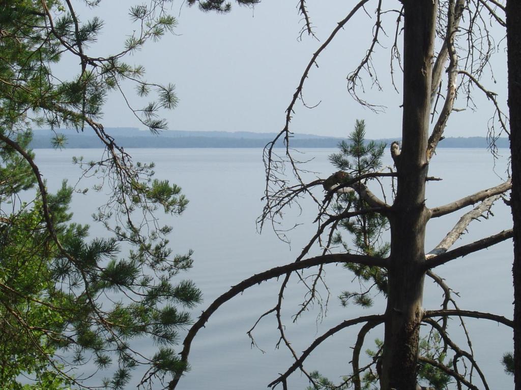 Holiday Home Tuomarniemi Kokonvaara Dış mekan fotoğraf